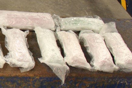 Vingt kilos d'ecstasy répartis dans une vingtaine de sacs... (Photo:  U.S. Customs and Border Protection)