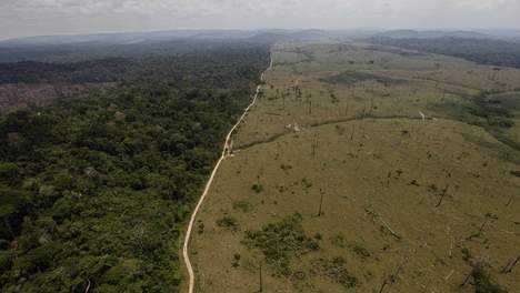 Une image « graphique » de déforestation...